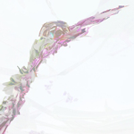 2620530_tumblr_m69h0vdyparvapradw1apchvaprx93fyo1_1280 (150x150, 24Kb)