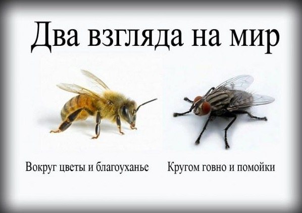 3235974_362967 (598x423, 37Kb)