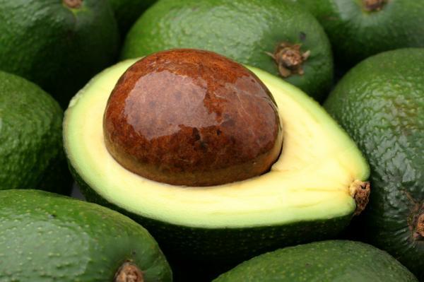 avocado (600x399, 31Kb)