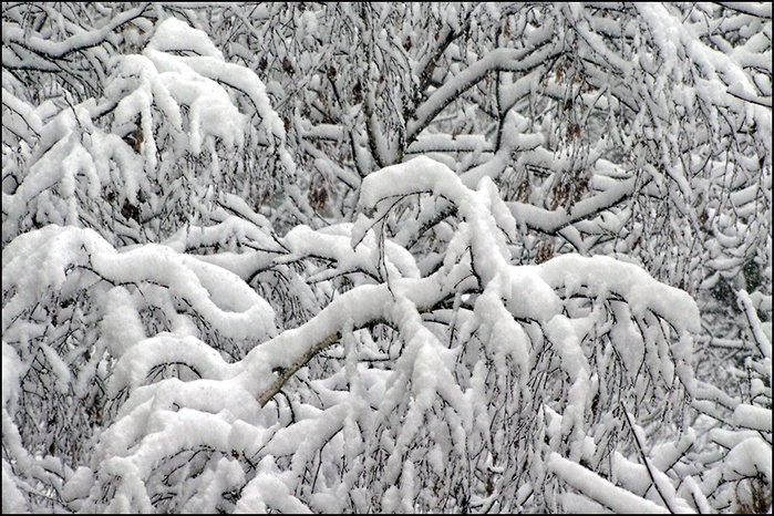 /3673959_2 (700x466, 221Kb)
