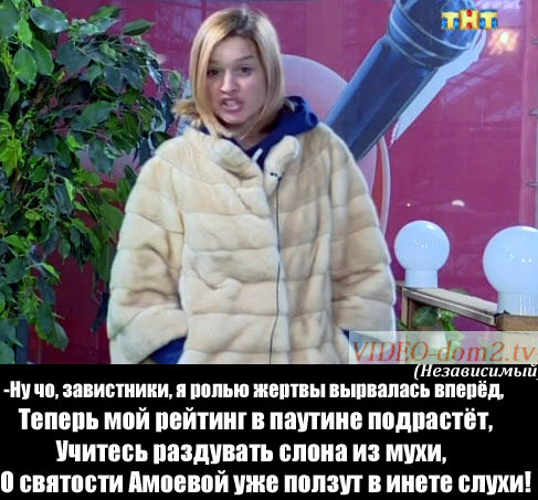    copy (487x453, 84Kb)