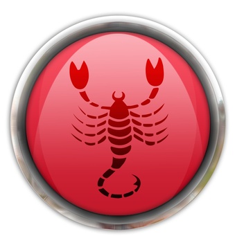 znak-zodiaka-skorpion (339x354, 40Kb)