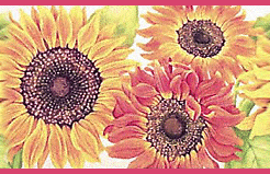 bord_floral_193 (246x159, 41Kb)