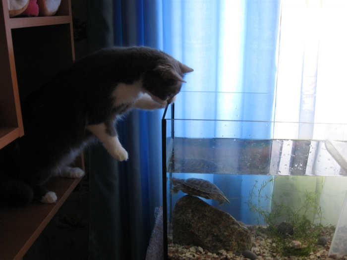 3881963_IMG_4140 (700x525, 203Kb)