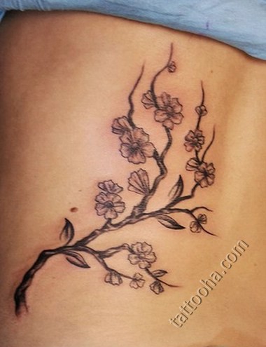 index.php (380x495, 83Kb)