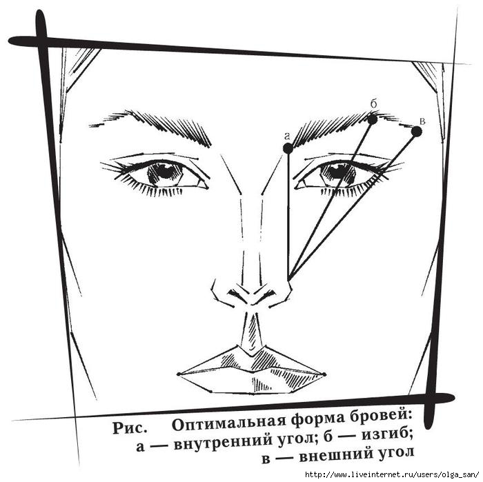 Схема бровей ниткой. Построение формы бровей схема. Коррекция формы бровей схема. Правильная форма бровей схема. Архитектура бровей схема.