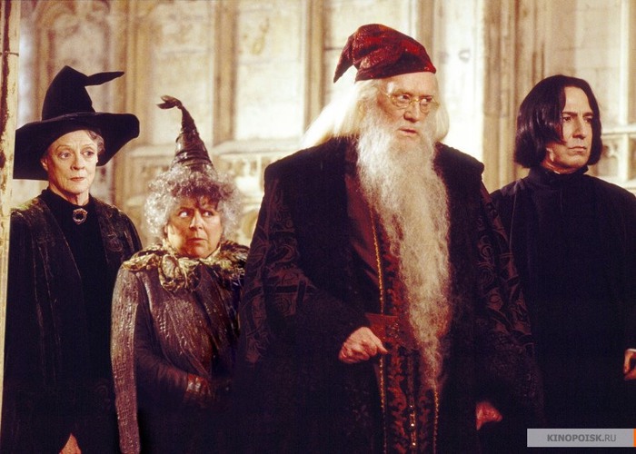 743664_HarryPotterandtheChamberofSecrets8768 (700x500, 93Kb)