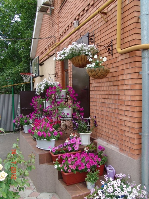 Оформление двора частного дома цветами в горшках фото