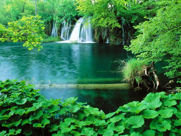 Plitvice_National_Park_Croatia (700x525, 174Kb)