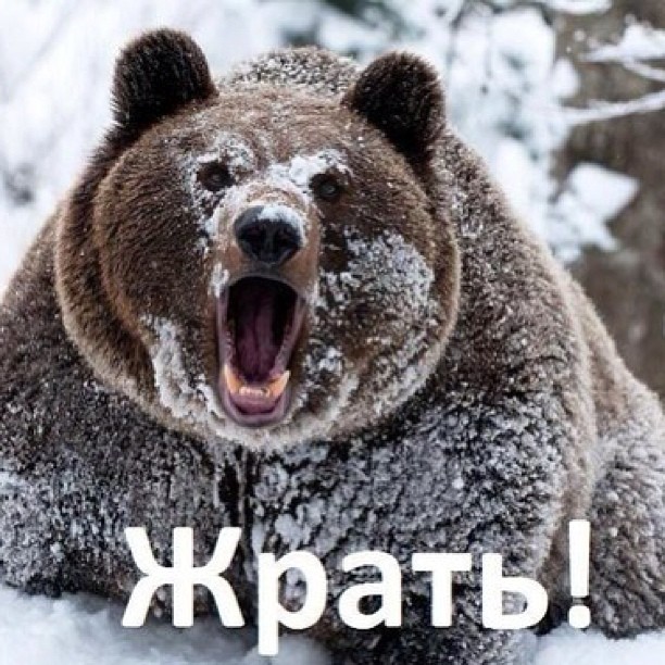 92a1f3667c3e11e2842d22000a1f9ada_7 (1) (612x612, 128Kb)