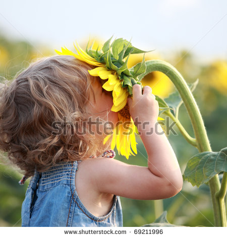 stock-photo-cute-child-with-sunflower-in-summer-field-69211996 (450x470, 57Kb)