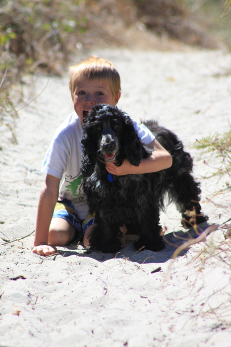 021 (466x700, 416Kb)