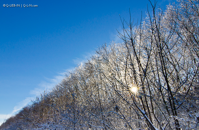 DSC_0189 (700x457, 555Kb)