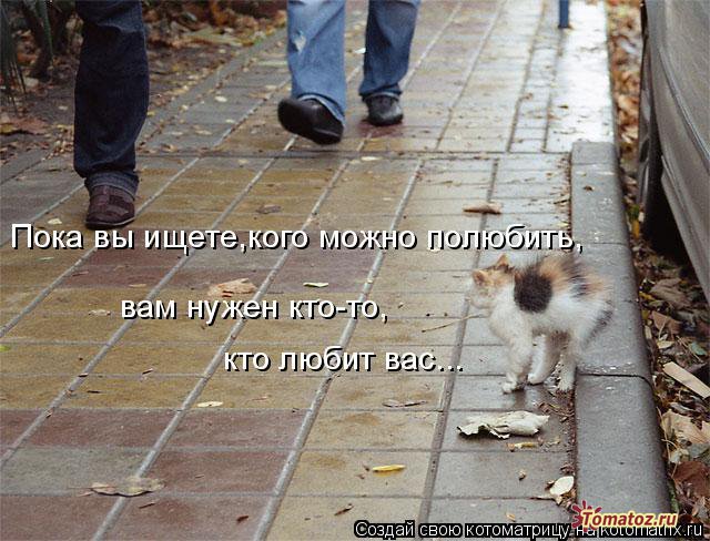   (640x488, 85Kb)