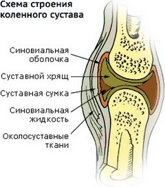 pochemu-hrustjat-sustavy-i-chto-delat_1 (240x272, 26Kb)