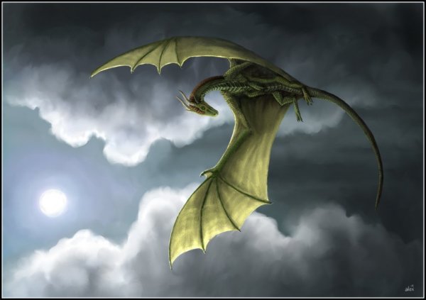 1361585860_1327753335_rrrrsryo (600x423, 29Kb)