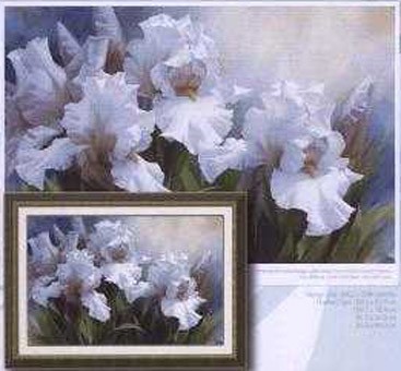 White Irise Elegance I (367x340, 42Kb)