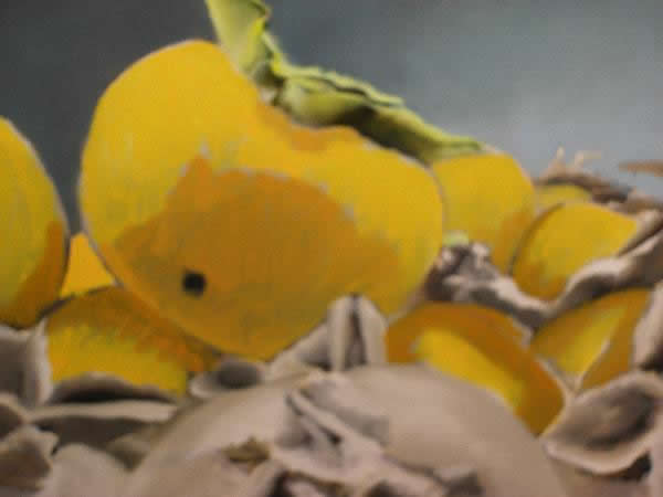 still-life-painting-tips-6 (600x450, 17Kb)