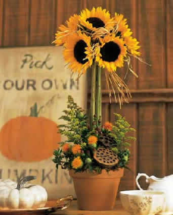 tf76-4 sunflower topiary (342x426, 17Kb)