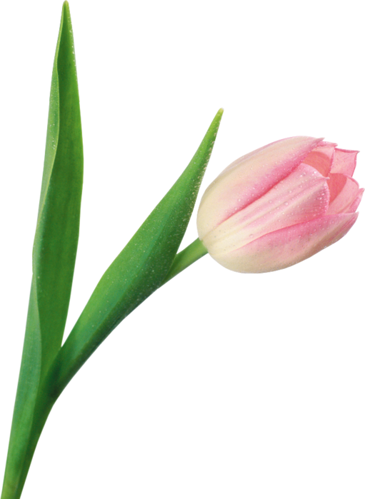 0d98c2dc9955 (511x700, 201Kb)