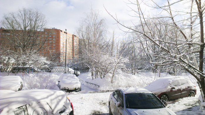 IMAG0264 (700x394, 390Kb)