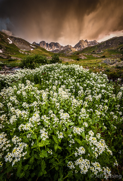 1361289223_youloveit_ru_flowers_spring04 (476x700, 441Kb)