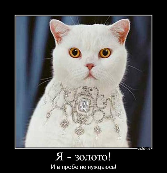 ya-zoloto_1326003296 (572x591, 36Kb)