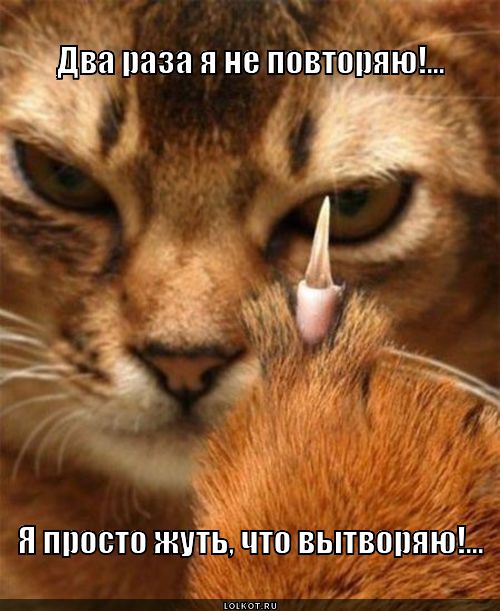 uh-utvoryu_1361630433 (500x611, 56Kb)