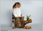  0_78e65_2c071e2e_orig (700x503, 196Kb)