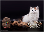  IMG_9188 (700x502, 211Kb)