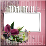   (700x700, 688Kb)