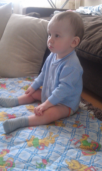 1102391_IMAG0505 (419x700, 241Kb)