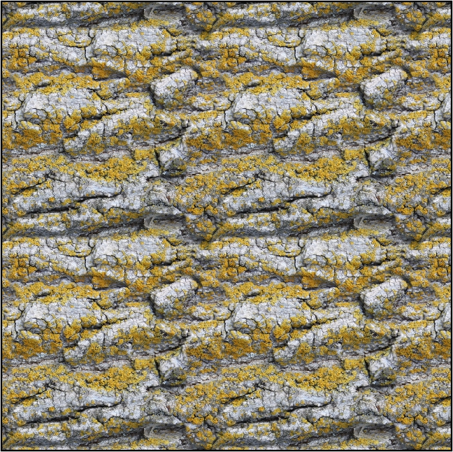    (648x647, 651Kb)