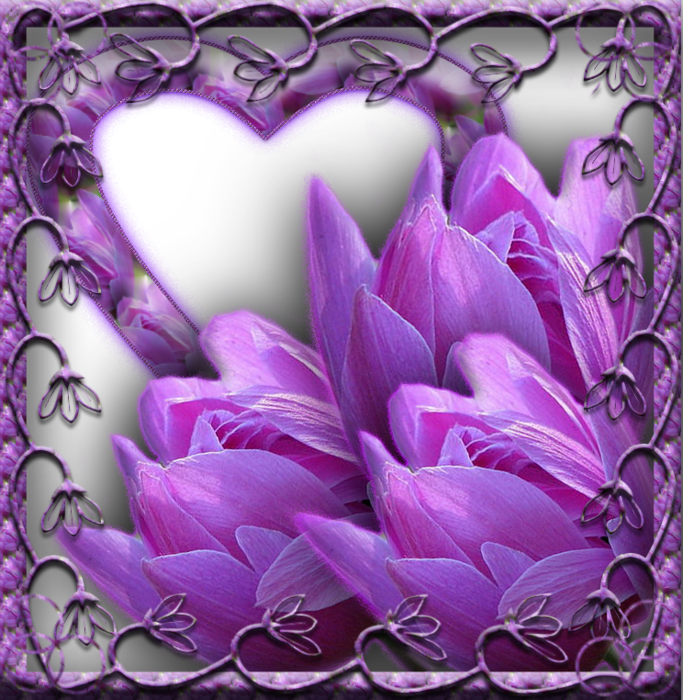   (683x700, 932Kb)