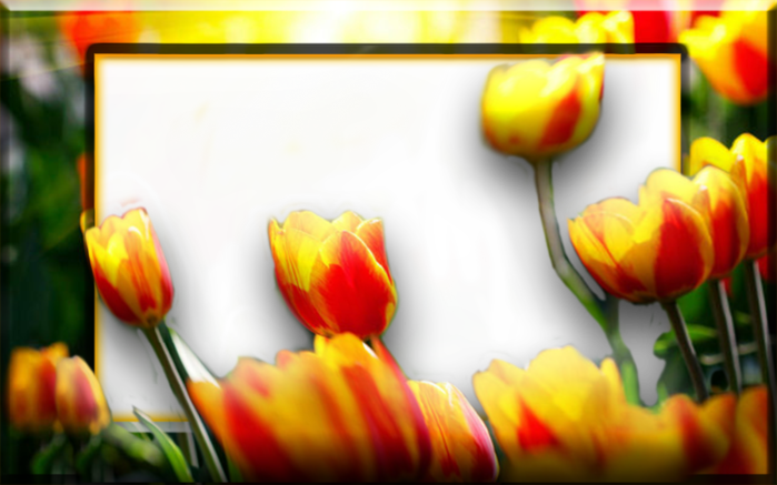   . (700x437, 426Kb)