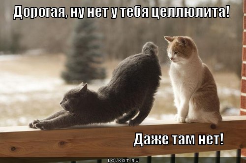 horosha...-i-muzh-proktolog._1362128424 (500x331, 36Kb)