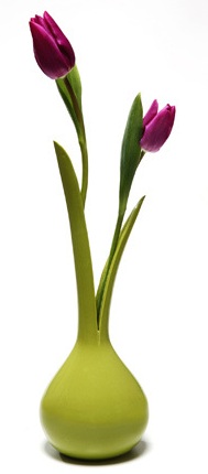 onion_vase_1 (189x430, 13Kb)