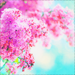 s2 (150x150, 51Kb)