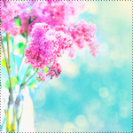 s1 (150x150, 47Kb)
