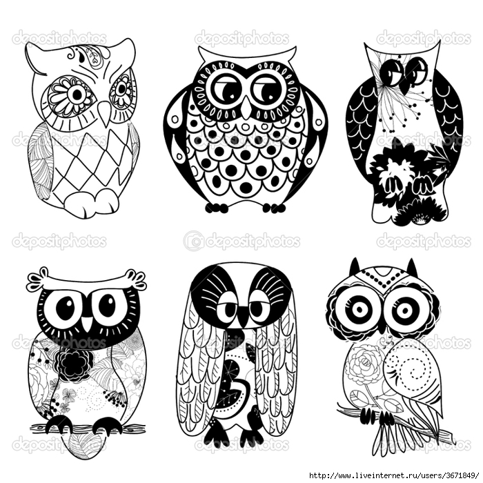 depositphotos_9411601-Collection-of-six-different-owls (700x700, 302Kb)