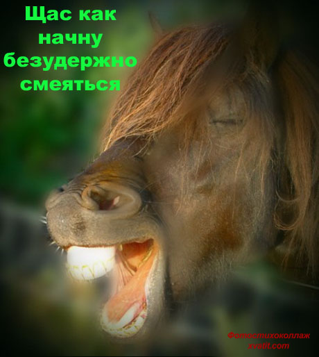 4016659_176aeb643aaa4e03c90cba0b104f6bfe (460x514, 59Kb)