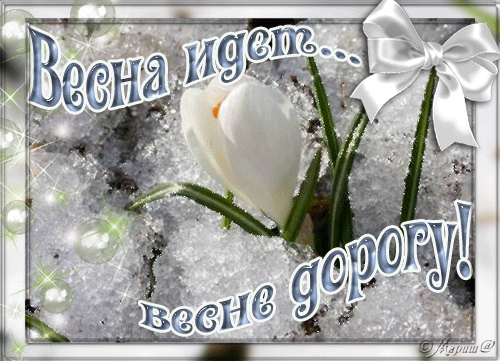 http://img1.liveinternet.ru/images/attach/c/7/98/372/98372217_vesna_idyot.gif