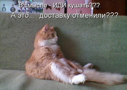 21 (500x354, 56Kb)
