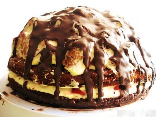 tort_pincher-31689 (533x400, 37Kb)