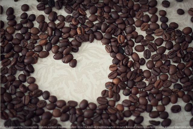 69c54764 (640x427, 136Kb)
