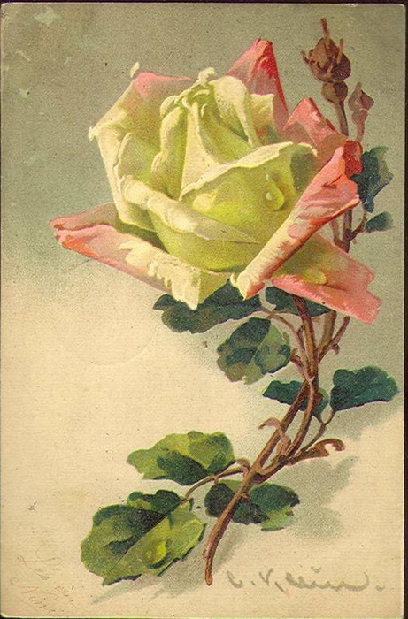 Старинные открытки с цветами - 78 фото