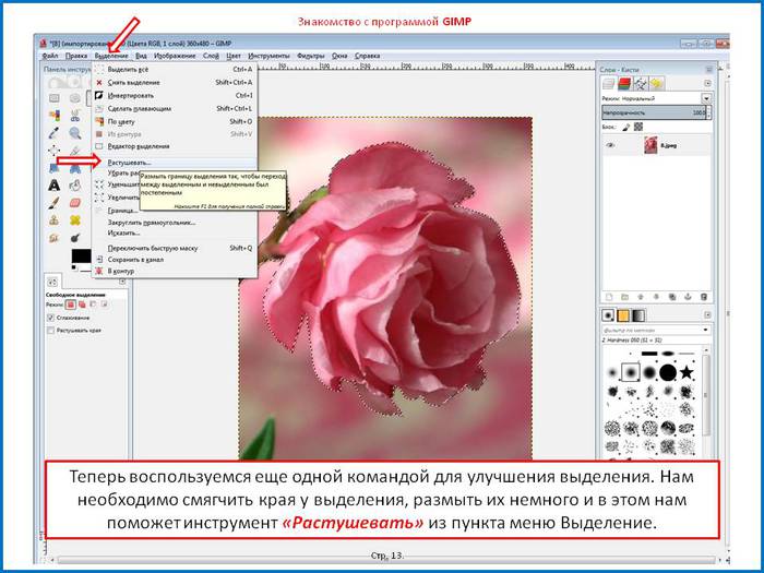   (700x525, 60Kb)