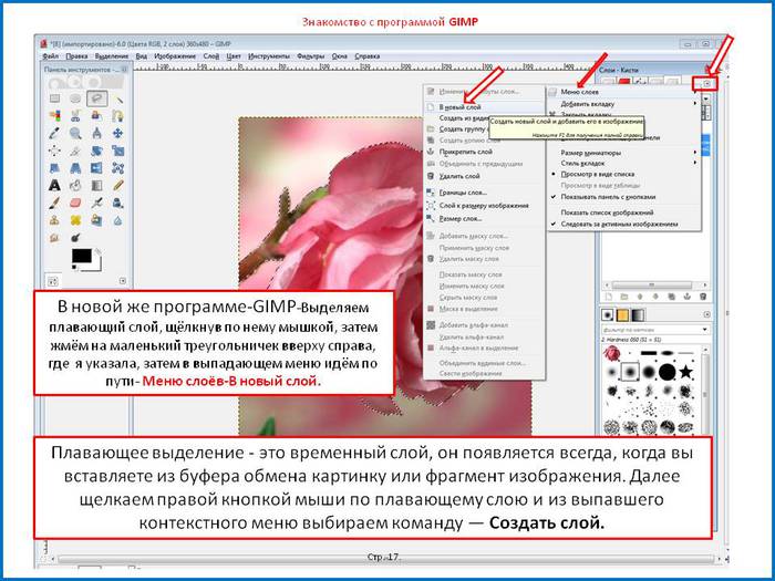   (700x525, 72Kb)
