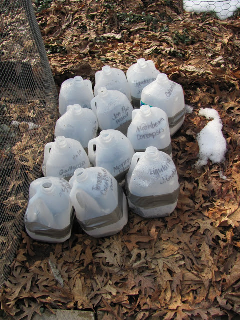 IMG_2811c doc (480x640, 144Kb)