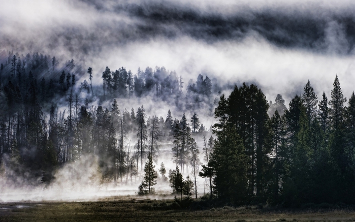 Mega_Volcano_Forest_1680 x 1050 widescreen (700x437, 221Kb)
